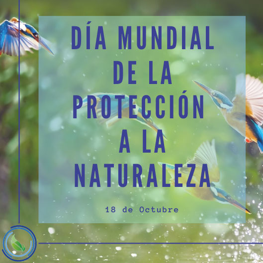  Día Mundial de la Protección a la Naturaleza 