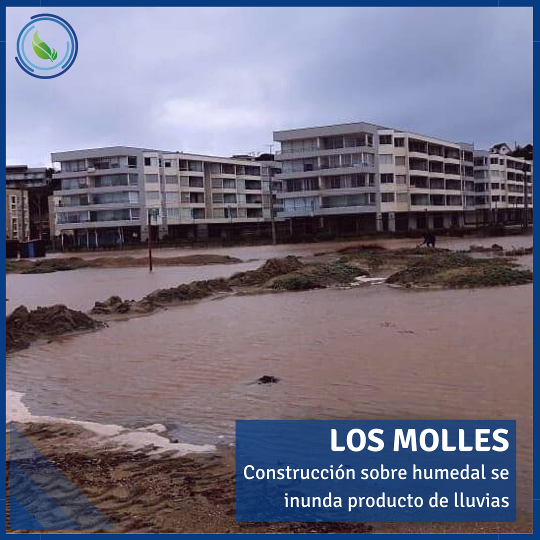 Construcción en humedal se inunda producto de fuertes lluvias Construcción en humedal se inunda producto de fuertes lluvias