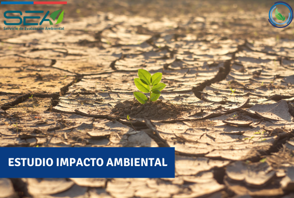 Estudio de Impacto Ambiental