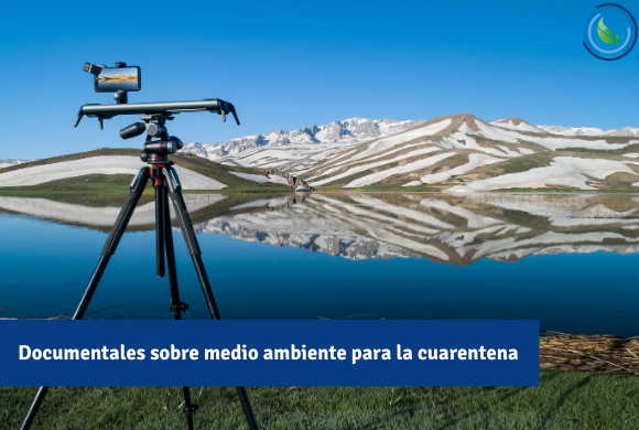  Documentales sobre medio ambiente que no te puedes perder en cuarentena 