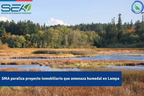 Día Mundial de los Humedales Día Mundial de los Humedales