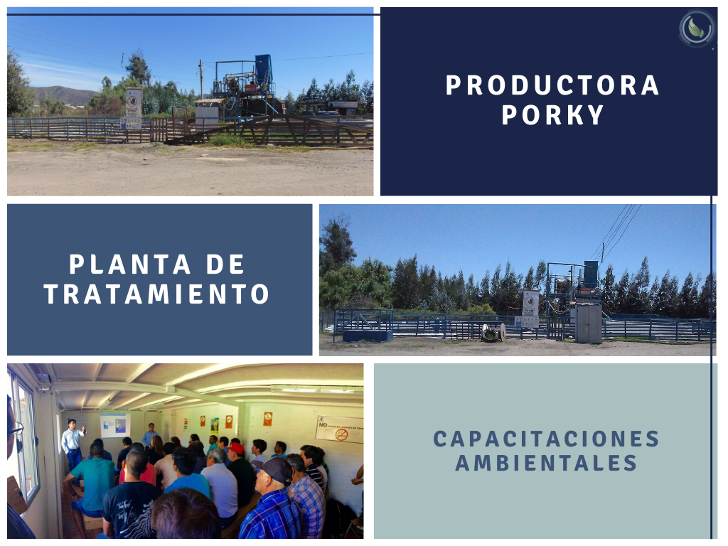 PORKY, trabajo en planta de tratamientos y capacitaciones. PORKY, trabajo en planta de tratamientos y capacitaciones.