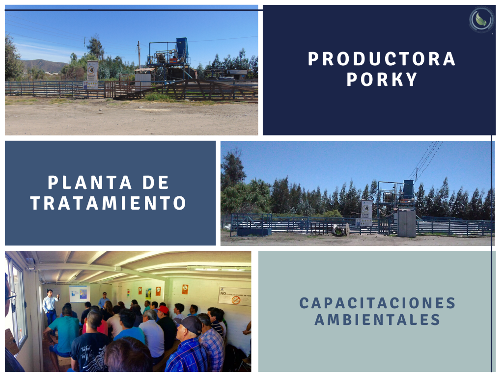 PORKY, trabajo en planta de tratamientos y capacitaciones.