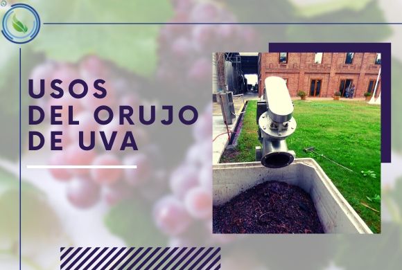 Usos del orujo de uva