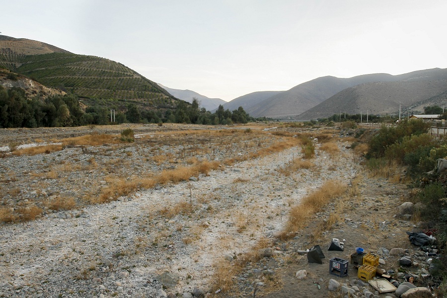 MOP no hizo estudio de impacto ambiental, proyecto que haría peligrar bosque nativo de Valdivia